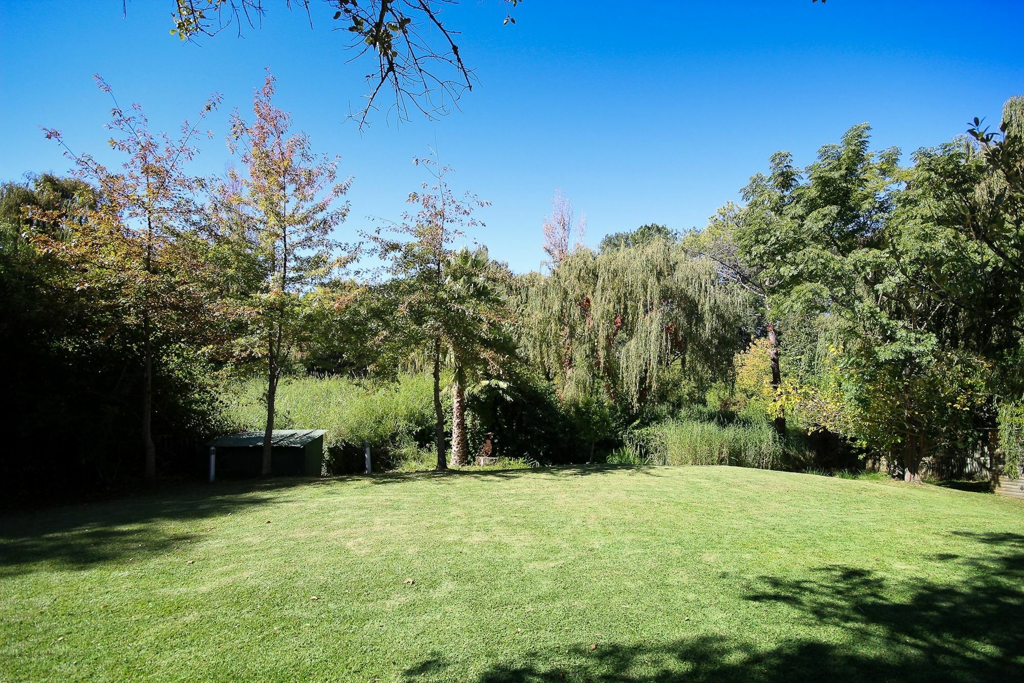 לינה וארוחת בוקר Constantia Spring מראה חיצוני תמונה